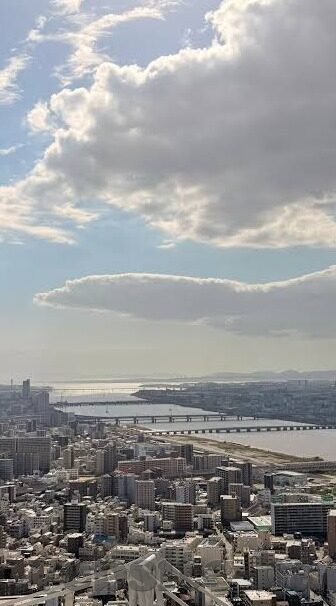 澳门维京赌场草比视频-澳门维京赌场草比视频，娱乐与风险交织的灰色地带